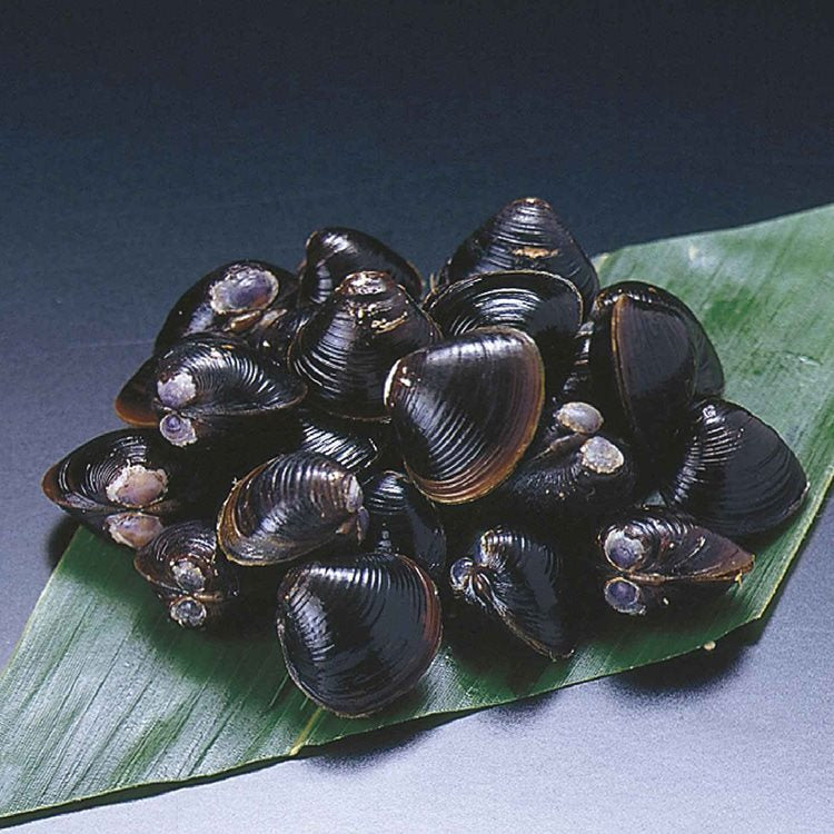 【冷凍】穴道湖産 冷凍しじみ 1KG