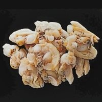 【冷凍】旬取り限定ボイルアサリ(S) IQF 500G
