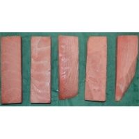 【冷凍】鮪切り落とし 1KG