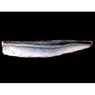 【冷凍】楽らく骨なしさんま60 60G 5食入