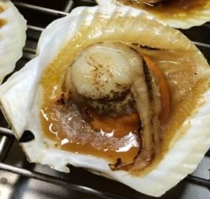 【冷凍】KR北海道産 ホタテ片貝L 10枚入