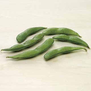 【冷凍】塩ゆで枝豆(天日塩使用) 台湾産 500G