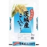 【常温】茨城産 こしひかり 令和7年産 5KG