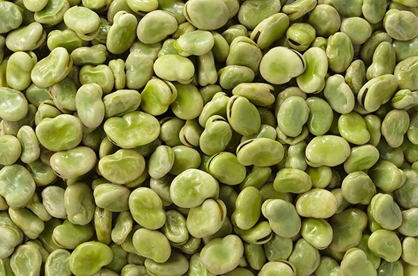 【冷凍】塩茹そら豆Lサイズ 中国 500G