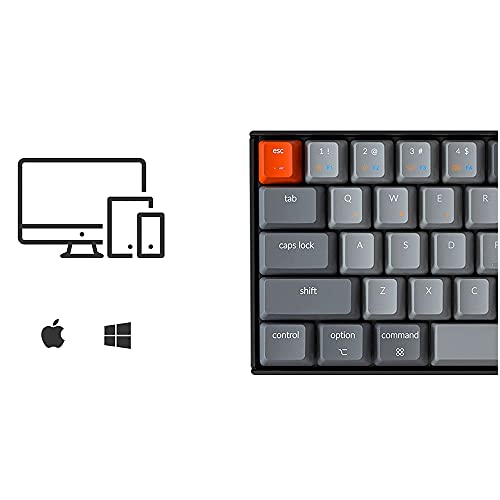 Keychron K6 65%コンパクトワイヤレスメカニカルキーボードfor Mac、ホットスワップ可能なホワイトバックライト、Bluetooth、マルチタスク、Type-C有線ゲーミングキーボード(Gateron Blueスイッチ付き)