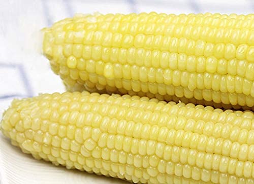 冷凍糯玉米棒(2本入)【2袋セット】 とうもろこし 白糯玉米 冷凍食品 2本入x2