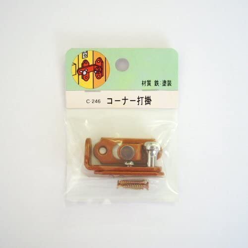 正面画像