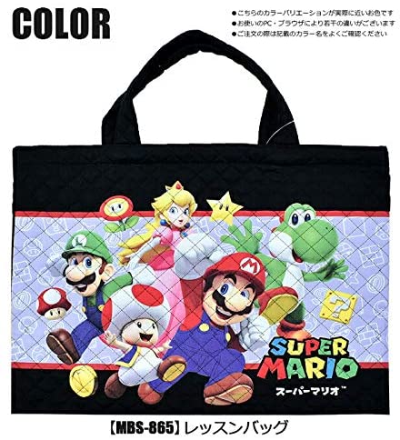スーパーマリオ レッスンバッグ お稽古バッグ ルイージ ピーチ 入園グッズ 入学グッズ MBS-865