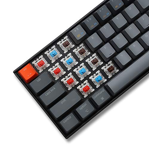 Keychron K6 65%コンパクトワイヤレスメカニカルキーボードfor Mac、ホットスワップ可能なホワイトバックライト、Bluetooth、マルチタスク、Type-C有線ゲーミングキーボード(Gateron Blueスイッチ付き)