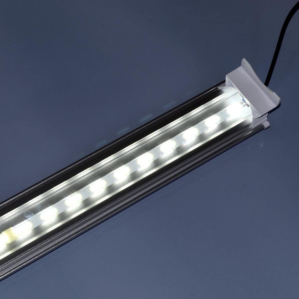 ゼンスイ LED PLUS ストロングホワイト 1個 (x 1)