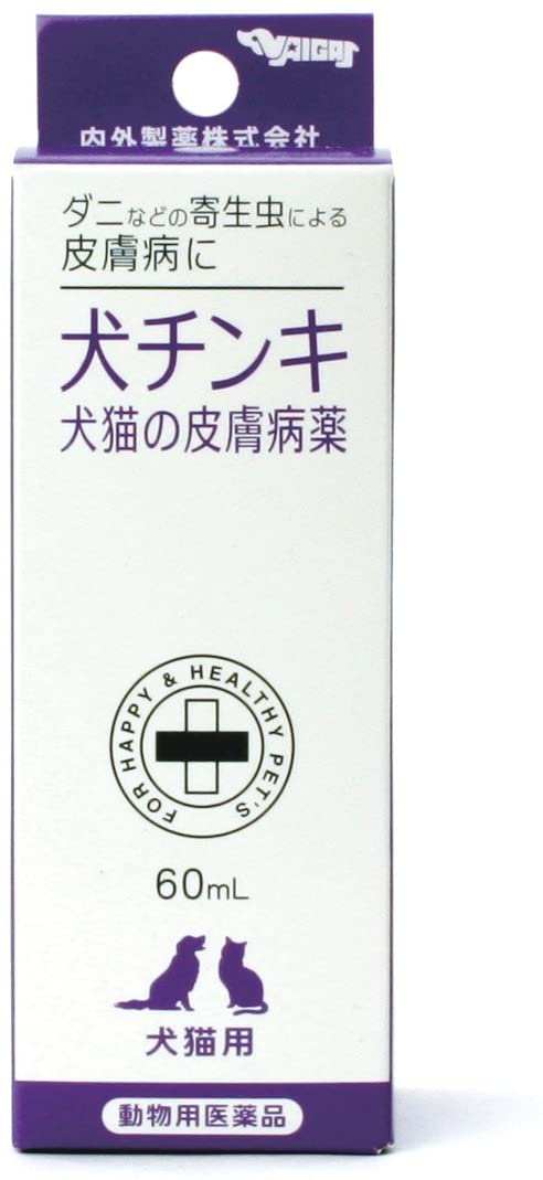 正面画像