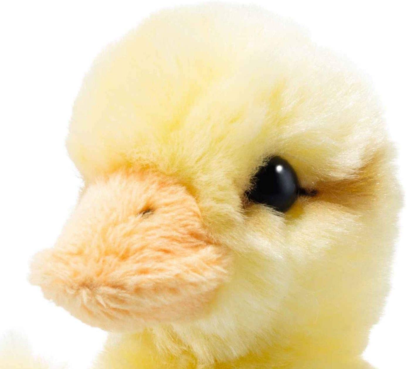 ひよこのピラ 14