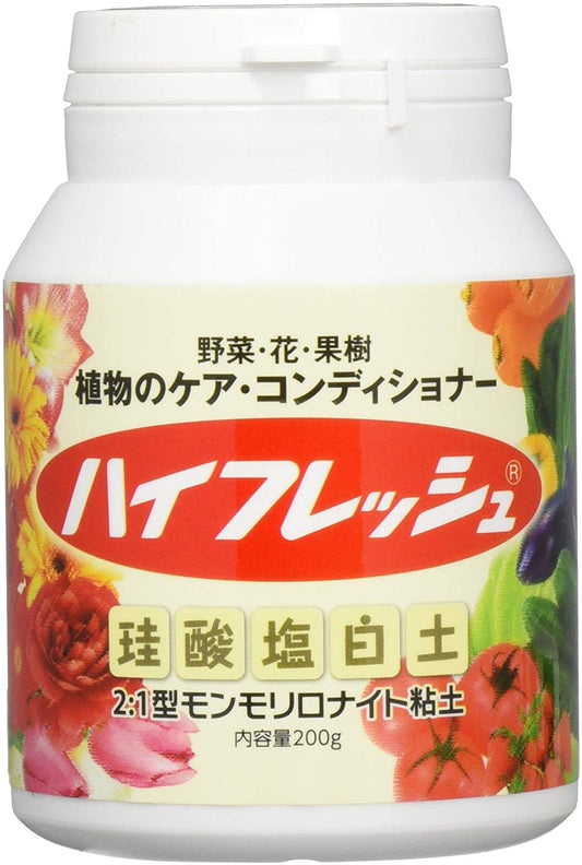 正面画像