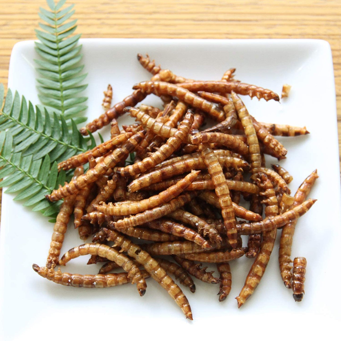 食用 スーパーワーム 15g(Superworms) 昆虫食