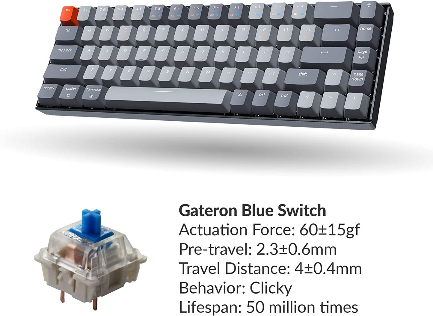 Keychron K6 65%コンパクトワイヤレスメカニカルキーボードfor Mac、ホットスワップ可能なホワイトバックライト、Bluetooth、マルチタスク、Type-C有線ゲーミングキーボード(Gateron Blueスイッチ付き)