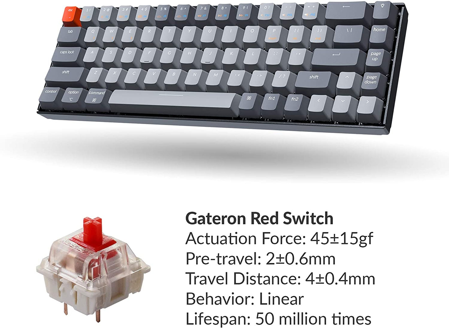 Keychron K6 65%コンパクトワイヤレスメカニカルキーボードfor Mac、ホットスワップ可能なホワイトバックライト、Bluetooth、マルチタスク、Type-C有線ゲーミングキーボード(Gateron Blueスイッチ付き)