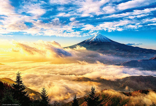 正面画像