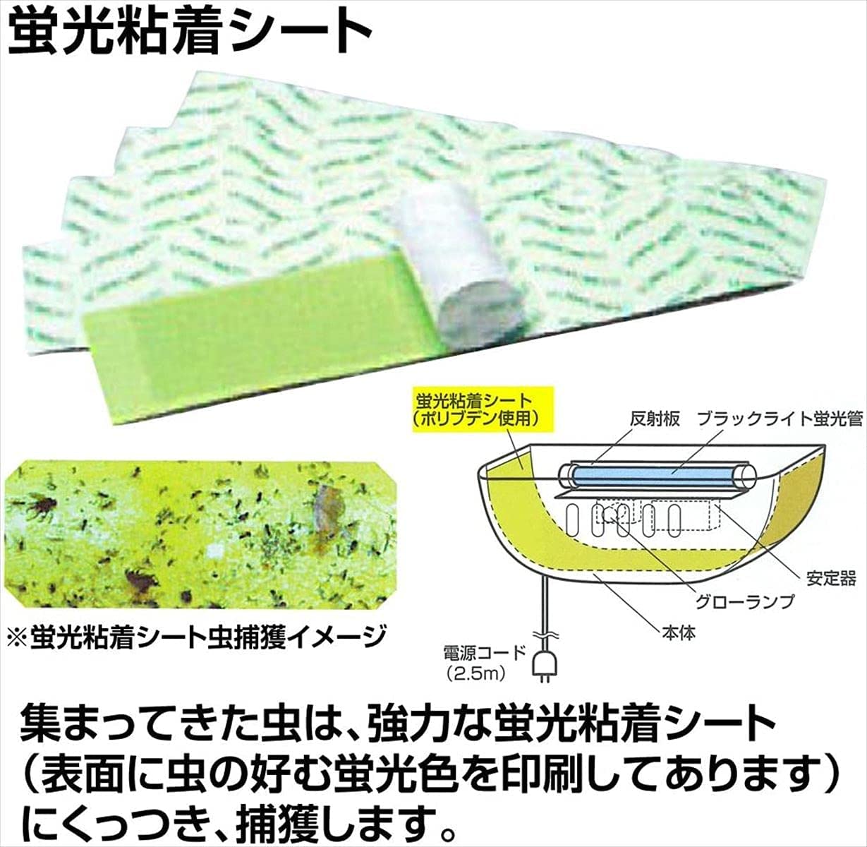 セハージャパン 虫ピタ虫V(ファイブ)用 蛍光粘着シート 5枚セット TKTBR-031023