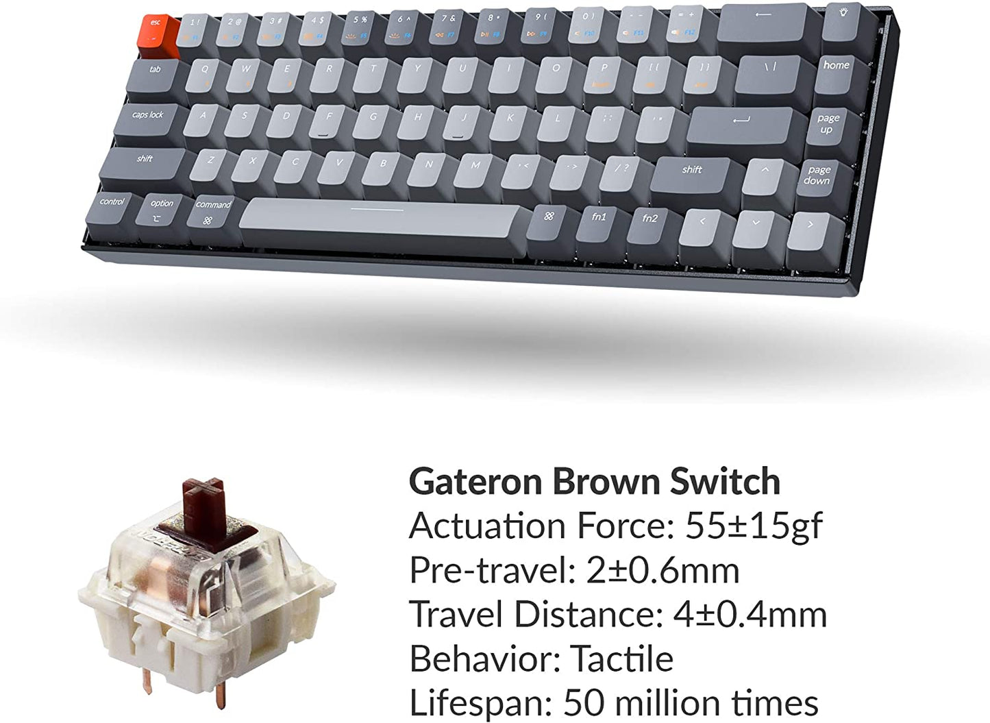 Keychron K6 65%コンパクトワイヤレスメカニカルキーボードfor Mac、ホットスワップ可能なホワイトバックライト、Bluetooth、マルチタスク、Type-C有線ゲーミングキーボード(Gateron Blueスイッチ付き)