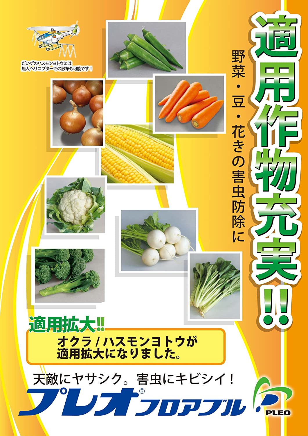 正面画像