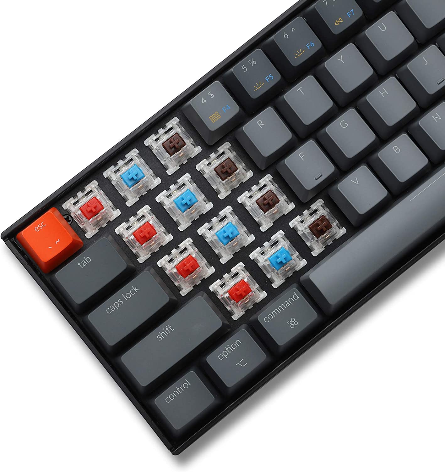 Keychron K6 65%コンパクトワイヤレスメカニカルキーボードfor Mac、ホットスワップ可能なホワイトバックライト、Bluetooth、マルチタスク、Type-C有線ゲーミングキーボード(Gateron Blueスイッチ付き)