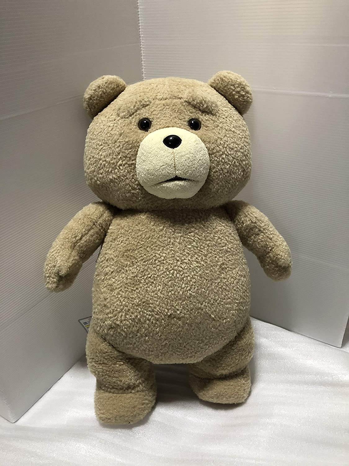 正面画像