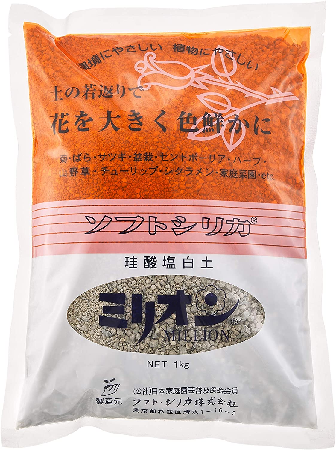 正面画像