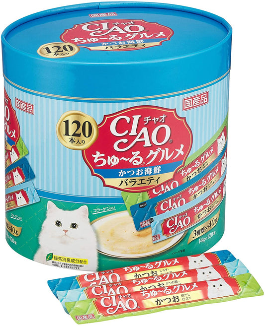正面画像