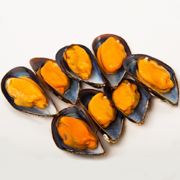 【冷凍】スペイン・ガリシア産 ムール貝 1KG
