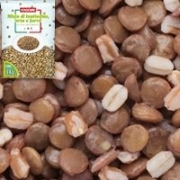 【冷凍】【在庫限】レンティッキエと大麦小麦のミックス 1KG