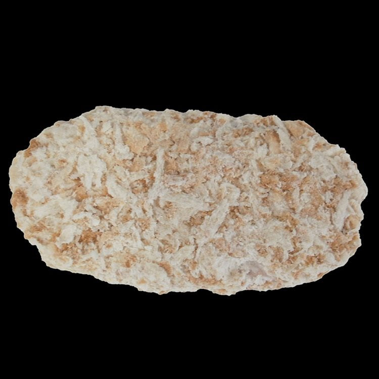 【冷凍】YRやわらかロースとんかつ100 100G　10食入
