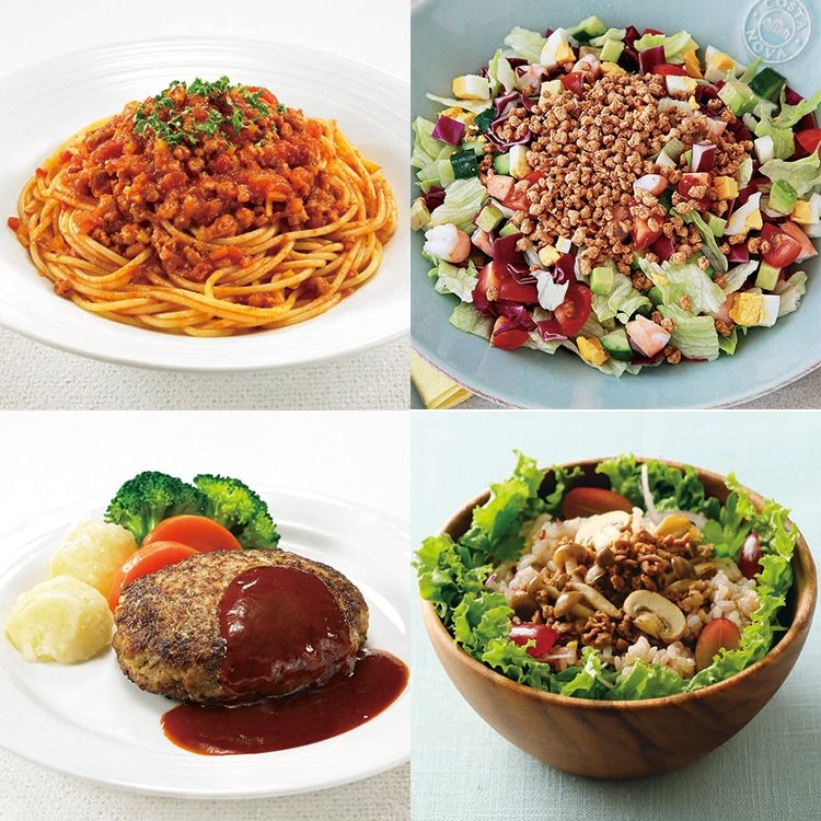 【常温】ダイズラボ 大豆肉乾燥 ミンチA 100G