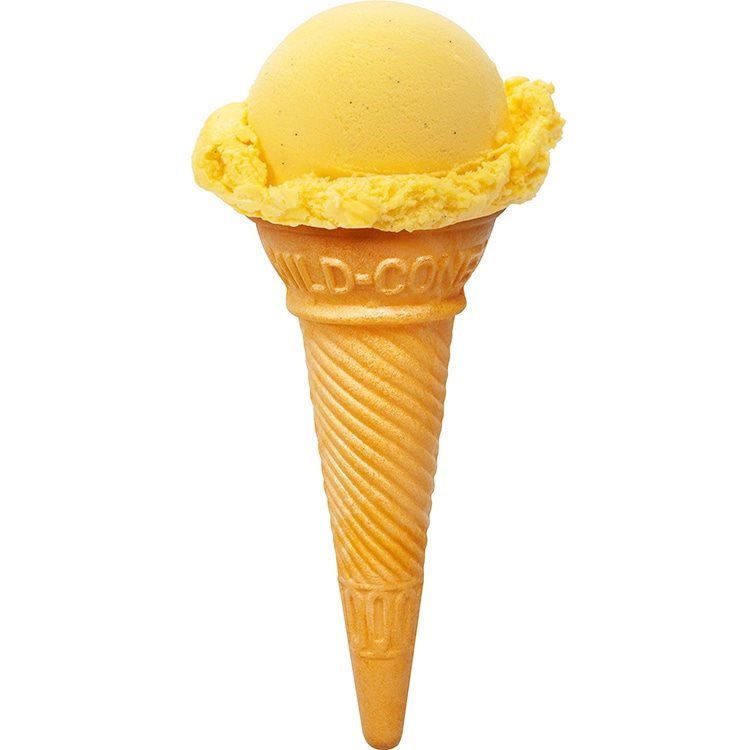 【冷凍】【在庫限】小さなアイス屋さん カスタードバニラ 1L