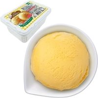 【冷凍】【在庫限】小さなアイス屋さん カスタードバニラ 1L