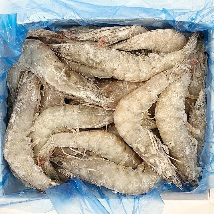 【冷凍】白姫えび有頭 40/50 500G