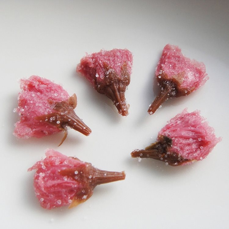 【冷凍】冷凍桜の花M-5 100花入 約40G