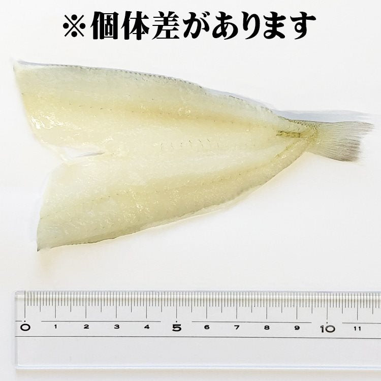 【冷凍】開きす 40尾