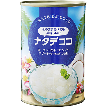 Vandro ナタデココ缶詰 固形量250g 内容総量425g ×2 缶 (Vandroロゴ付包装)