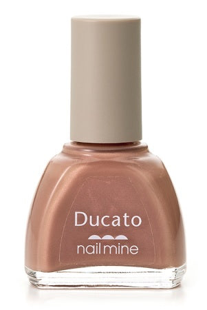 シャンティ デュカート　ネイルマイン２４×5パック