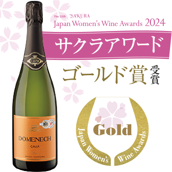 Vandro カヴァ・ドメネック・ブリュット 750ml ×3 本 (Vandroロゴ付包装)