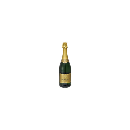 Vandro ヴァル・ソレイユ・スパークリングワイン 750ml ×5 本 (Vandroロゴ付包装)