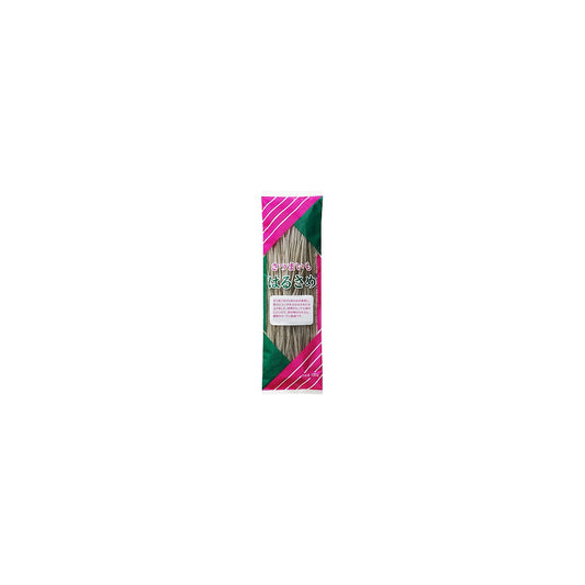 Vandro さつまいも春雨 100g ×1 袋 (Vandroロゴ付包装)