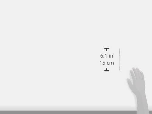 BIGMAN(ビッグマン) センターポンチ 150ミリ BSP-22