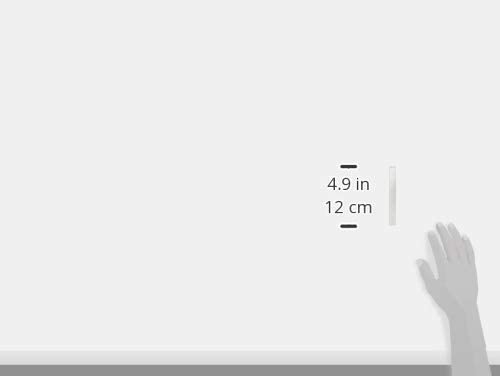 スギウラ 文鎮 鉄文鎮 二本組 小・KE41