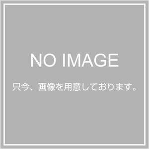 正面画像
