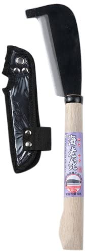 正面画像