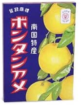 正面画像