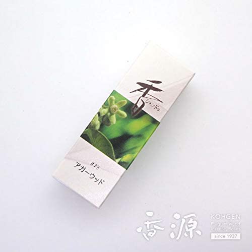 正面画像