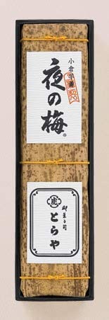 正面画像