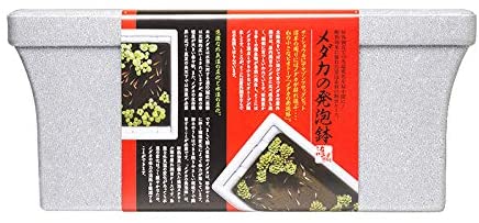 スドー メダカの発泡鉢
